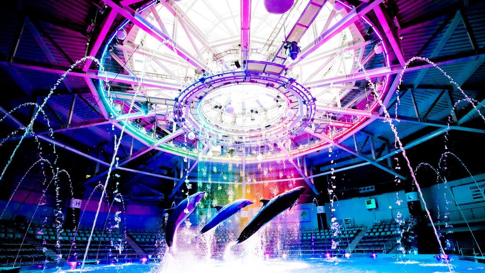 a colorful dolpin show at tokyo's aqua park shinagawa in japan