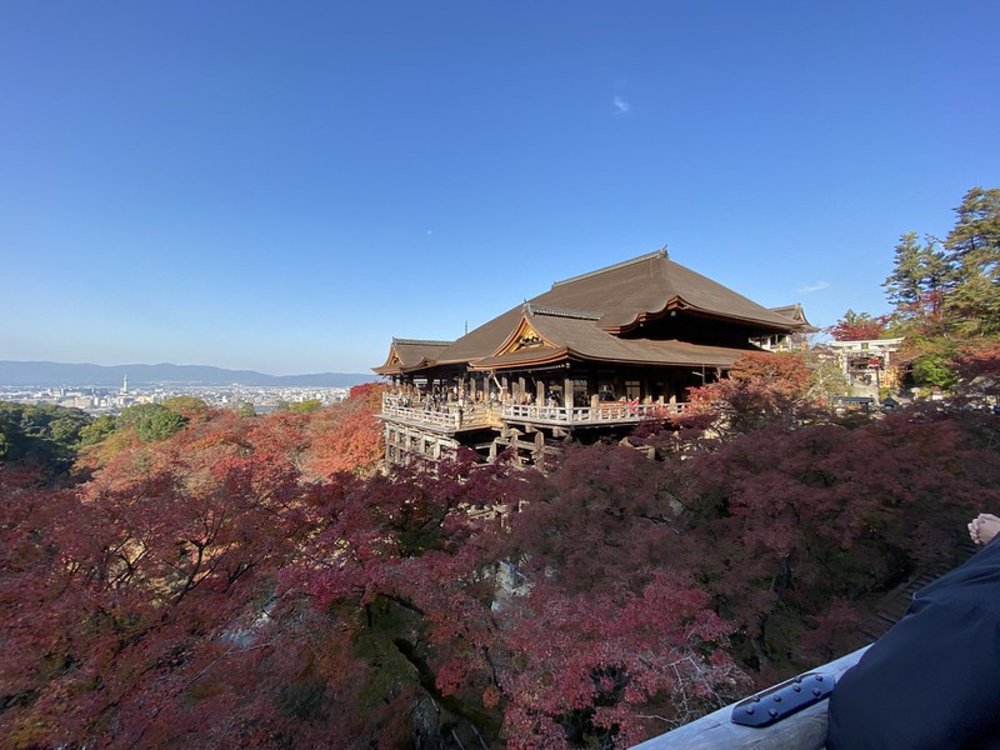 清水寺參拜推薦|賞楓季