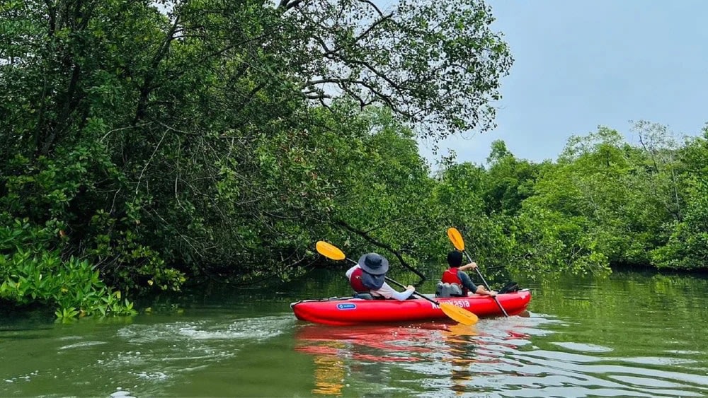 ネイチャーカヤック体験
