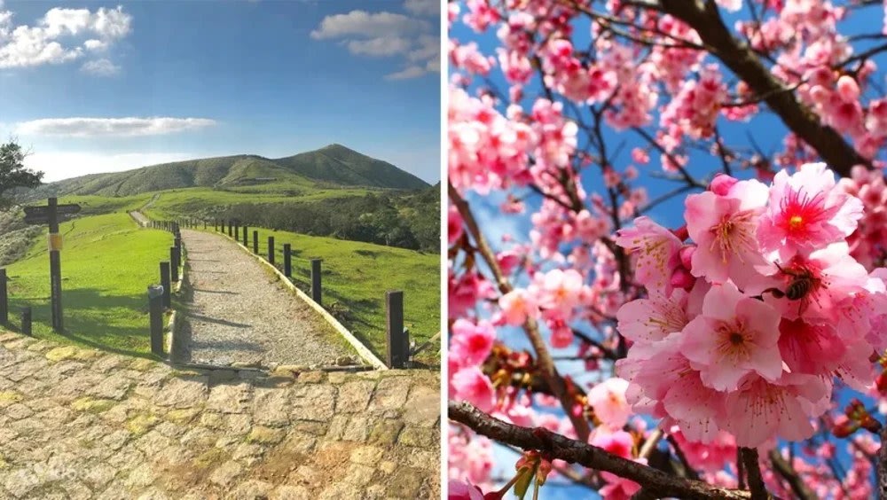 陽明山国家公園 