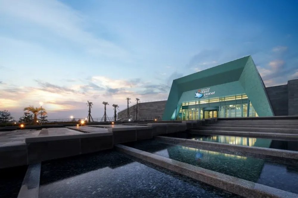濟洲島景點 Aqua Planet 水族館Aqua Planet
