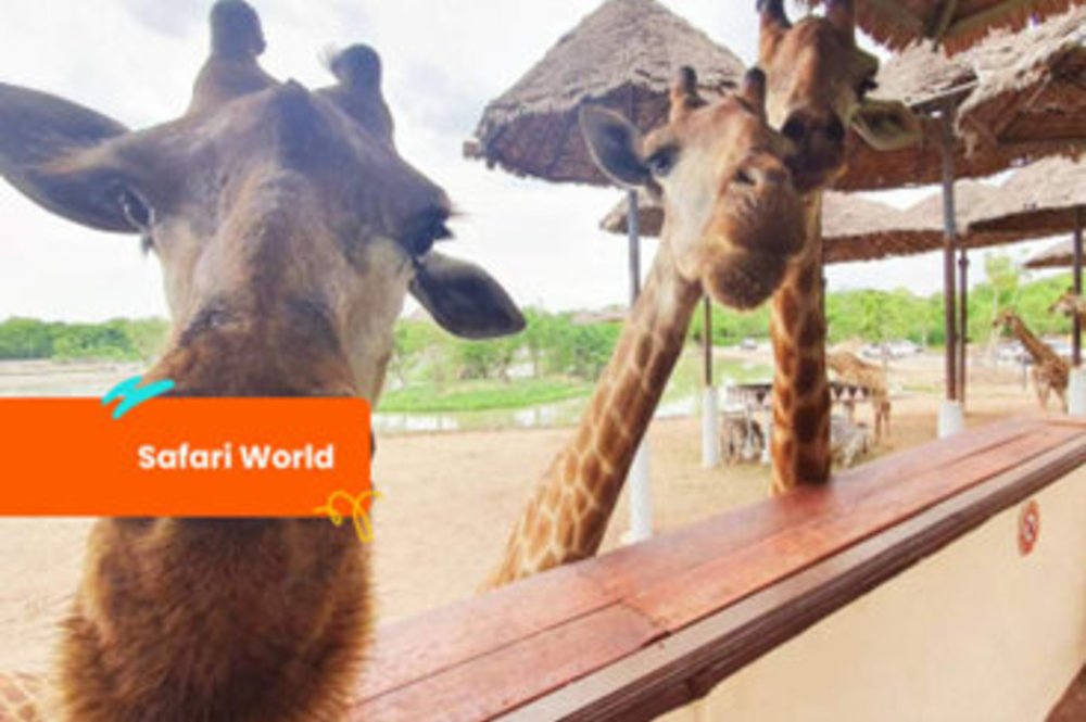 ซาฟารี เวิลด์