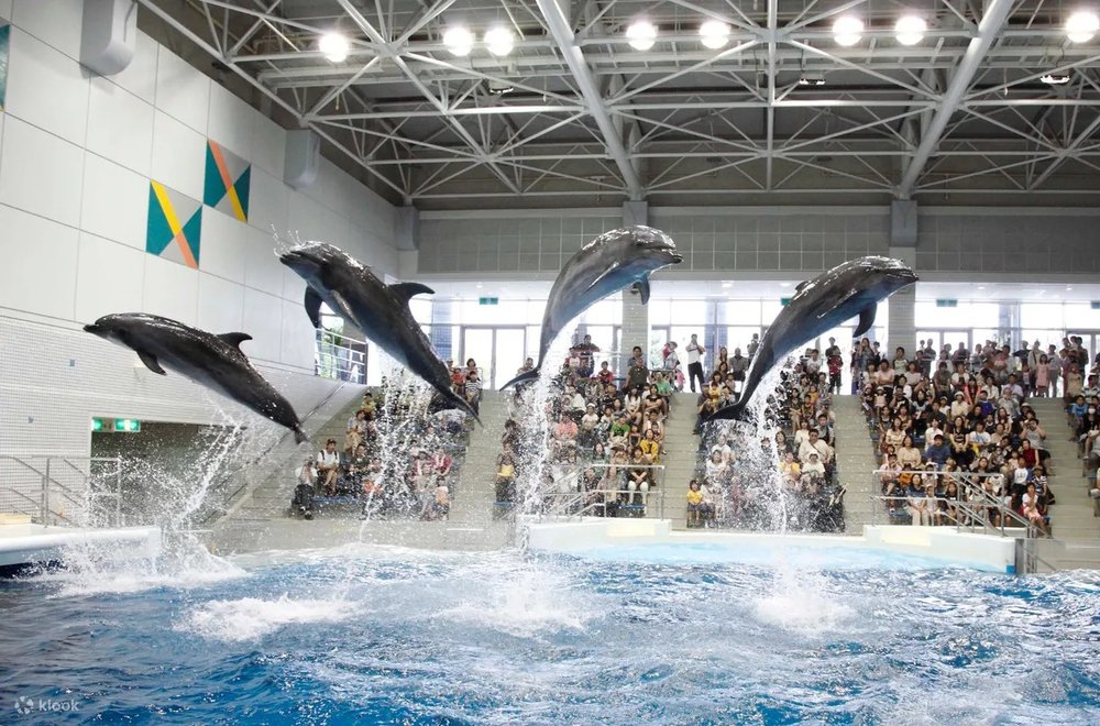 鹿兒島水族館
