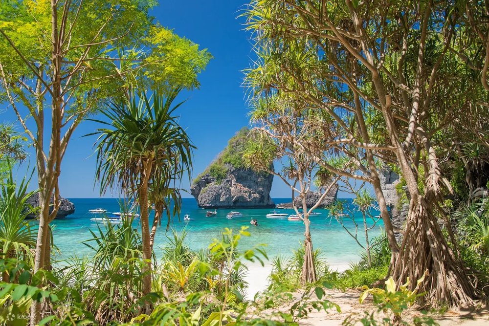 モンキービーチ