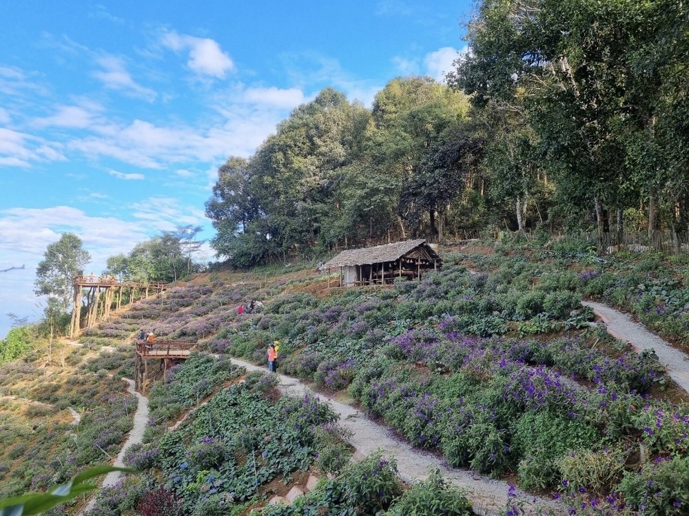  TH チェンマイ モンチェム