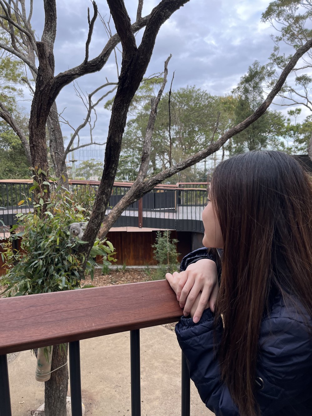 Taronga Zoo in Sydney