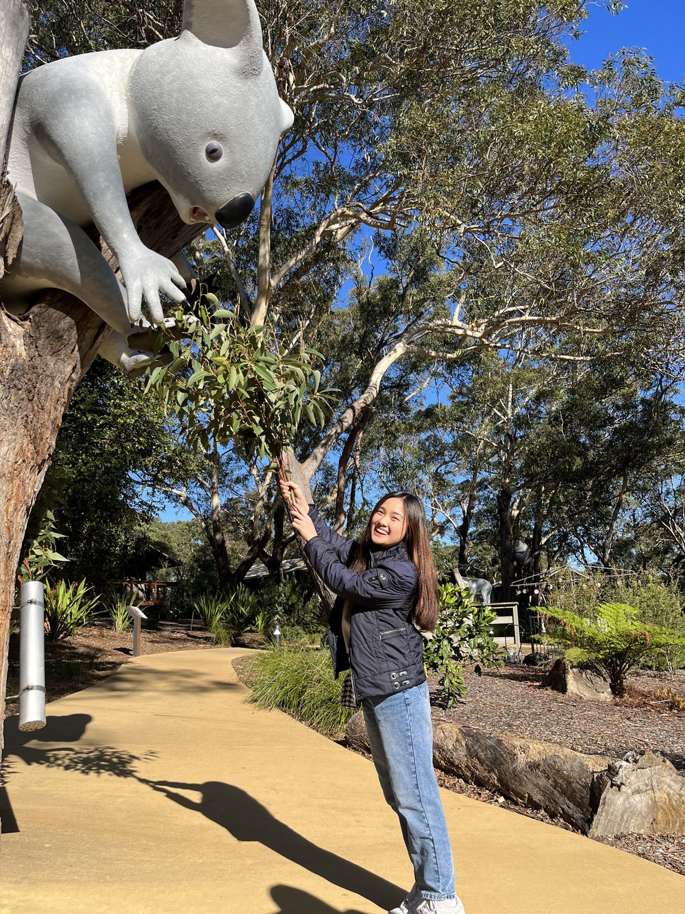 Port Stephens Koala Sanctuary