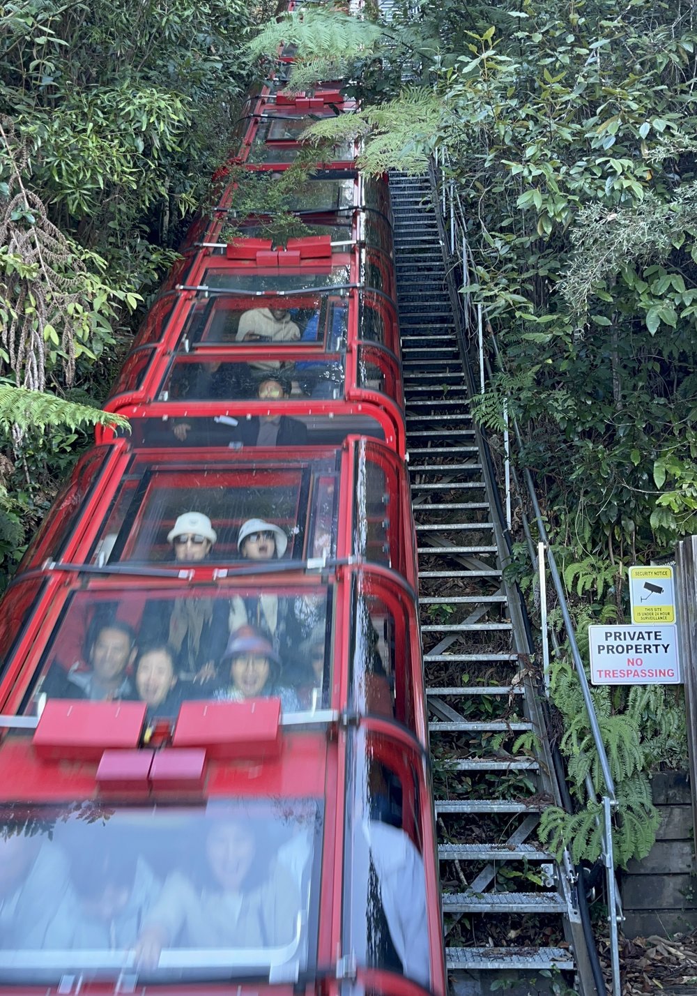 Scenic Railway at Scenic World