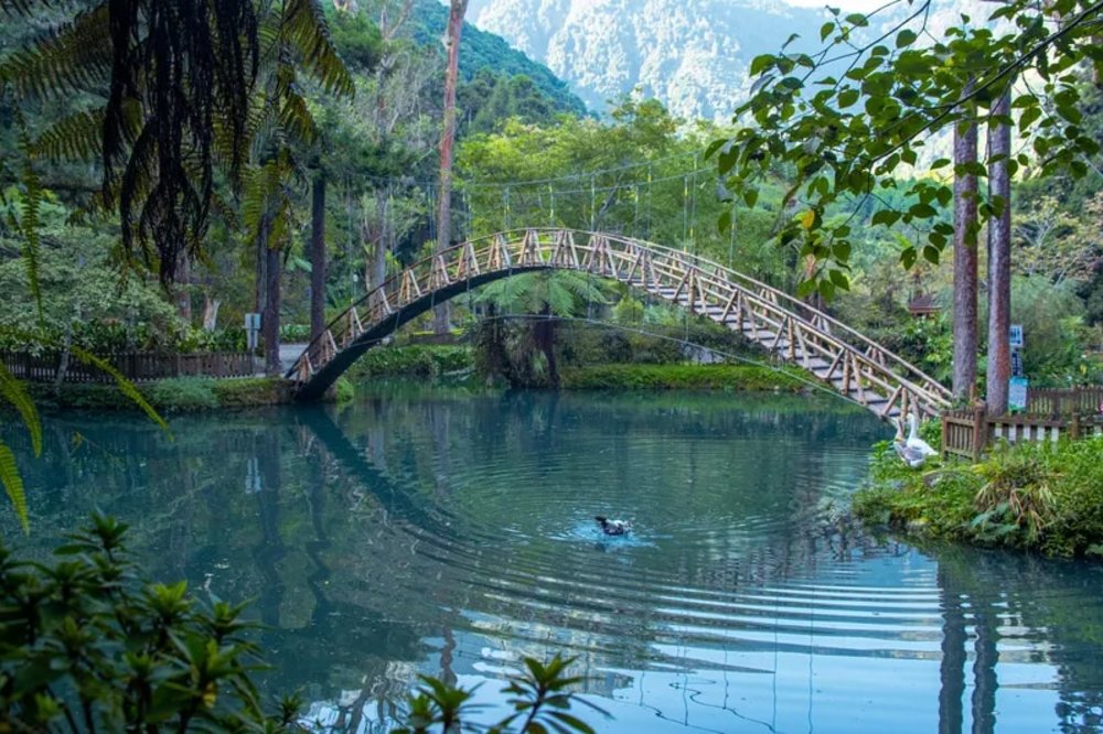 溪頭森林遊樂區