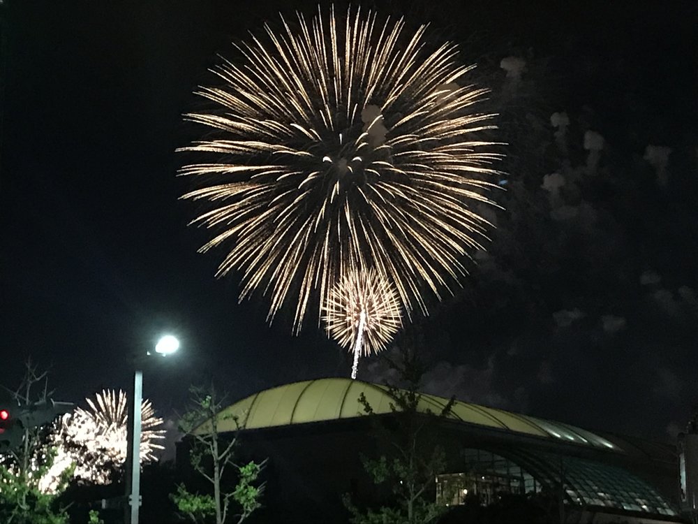 幕張ビーチ花火フェスタ