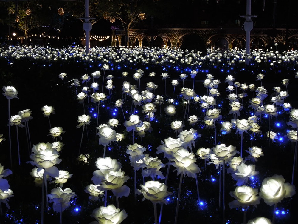 Everland Rose Castle