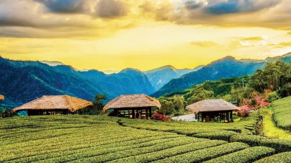 嘉義景點優遊吧斯鄒族文化部落