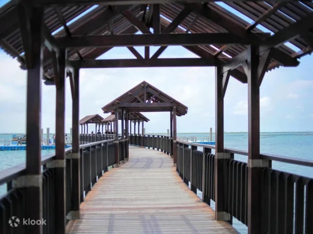 台南 七股潟湖 觀光竹筏