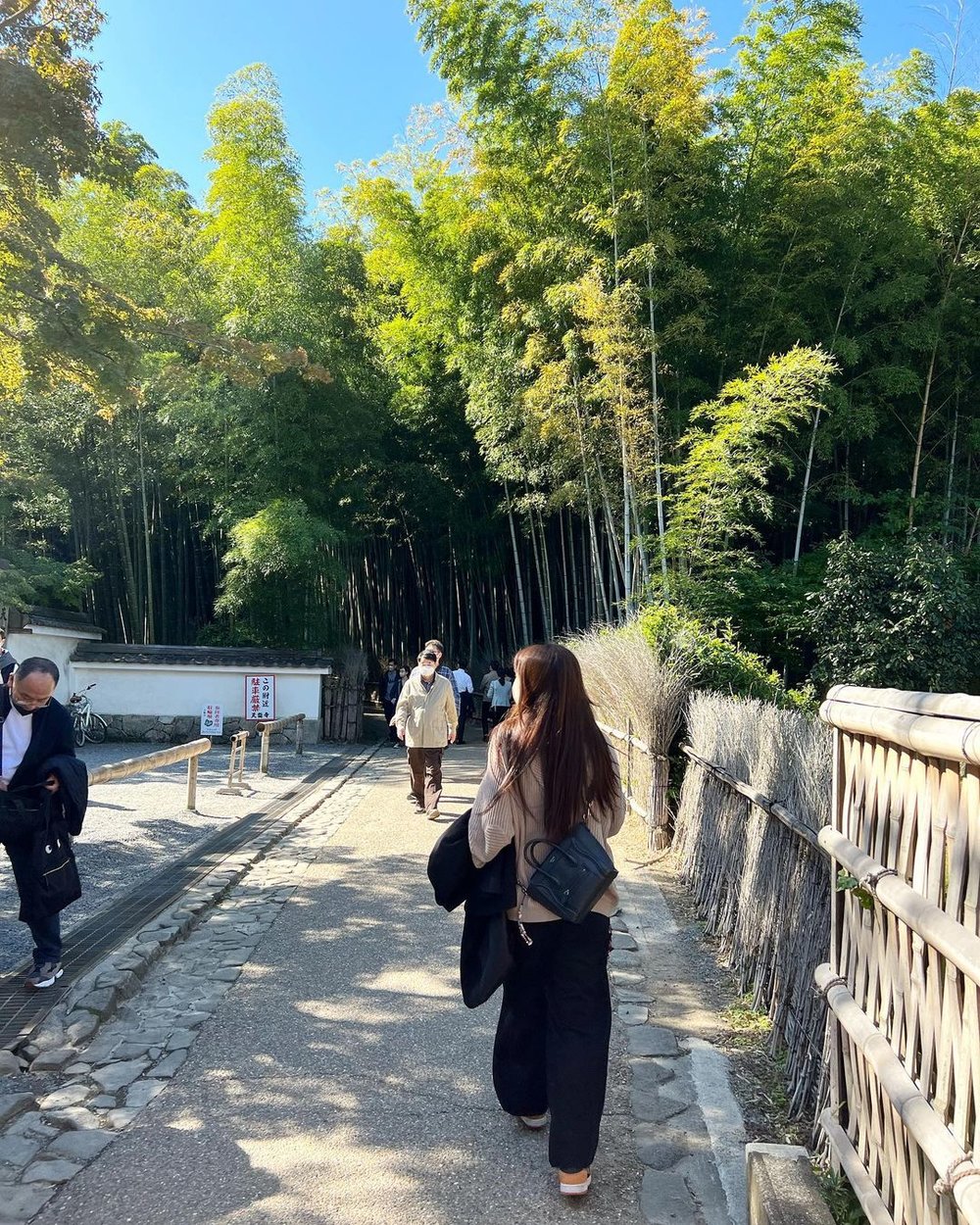 jr-haruka-airport-express-train-tickets-osaka-18400-kr-image