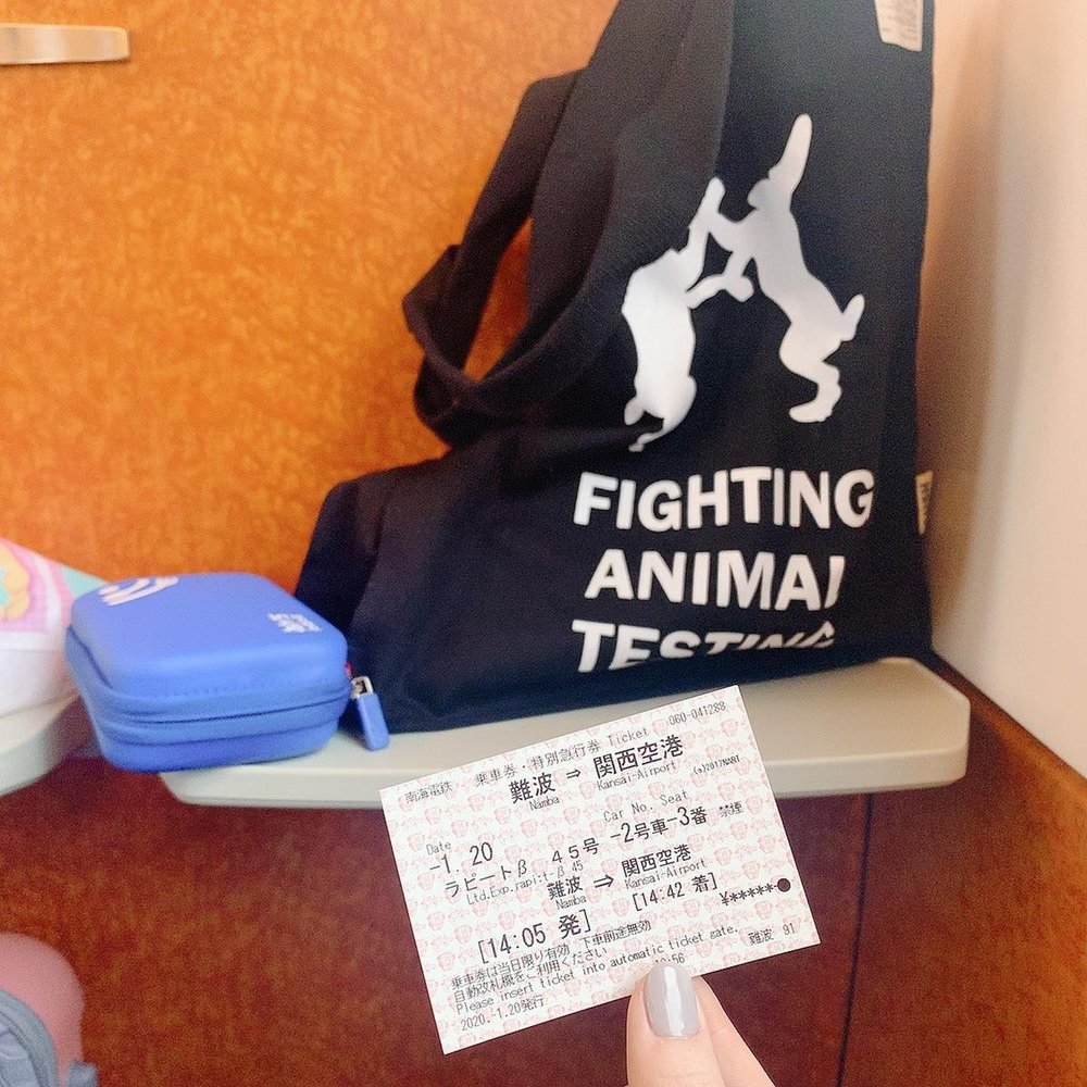 599-kansai-airport-namba-train-ticket-osaka-kr-image