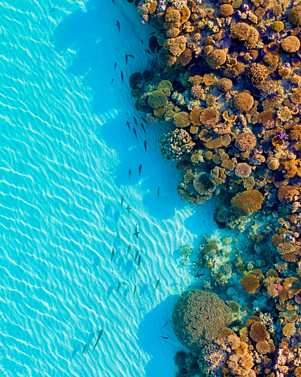 natural wonders in australia