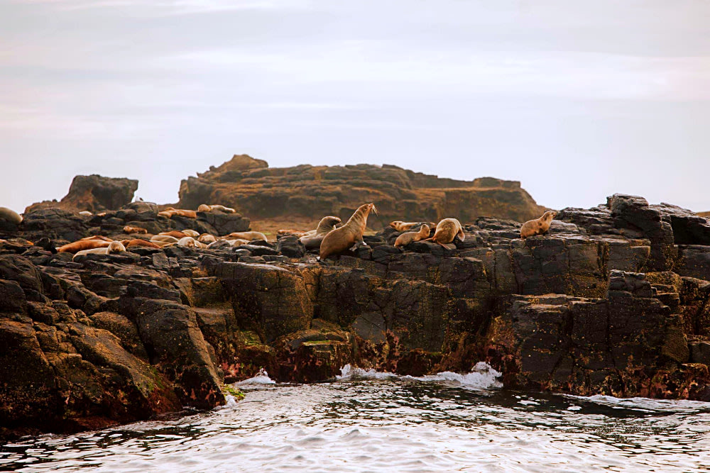 natural wonders in australia