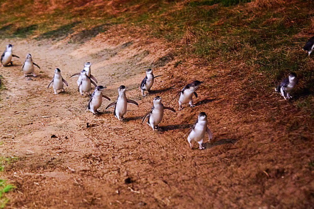 natural wonders in australia