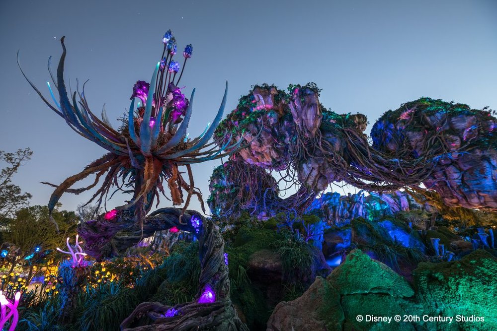 4749 フロリダ ウォルト・ディズニー・ワールド  パンドラ　アバター