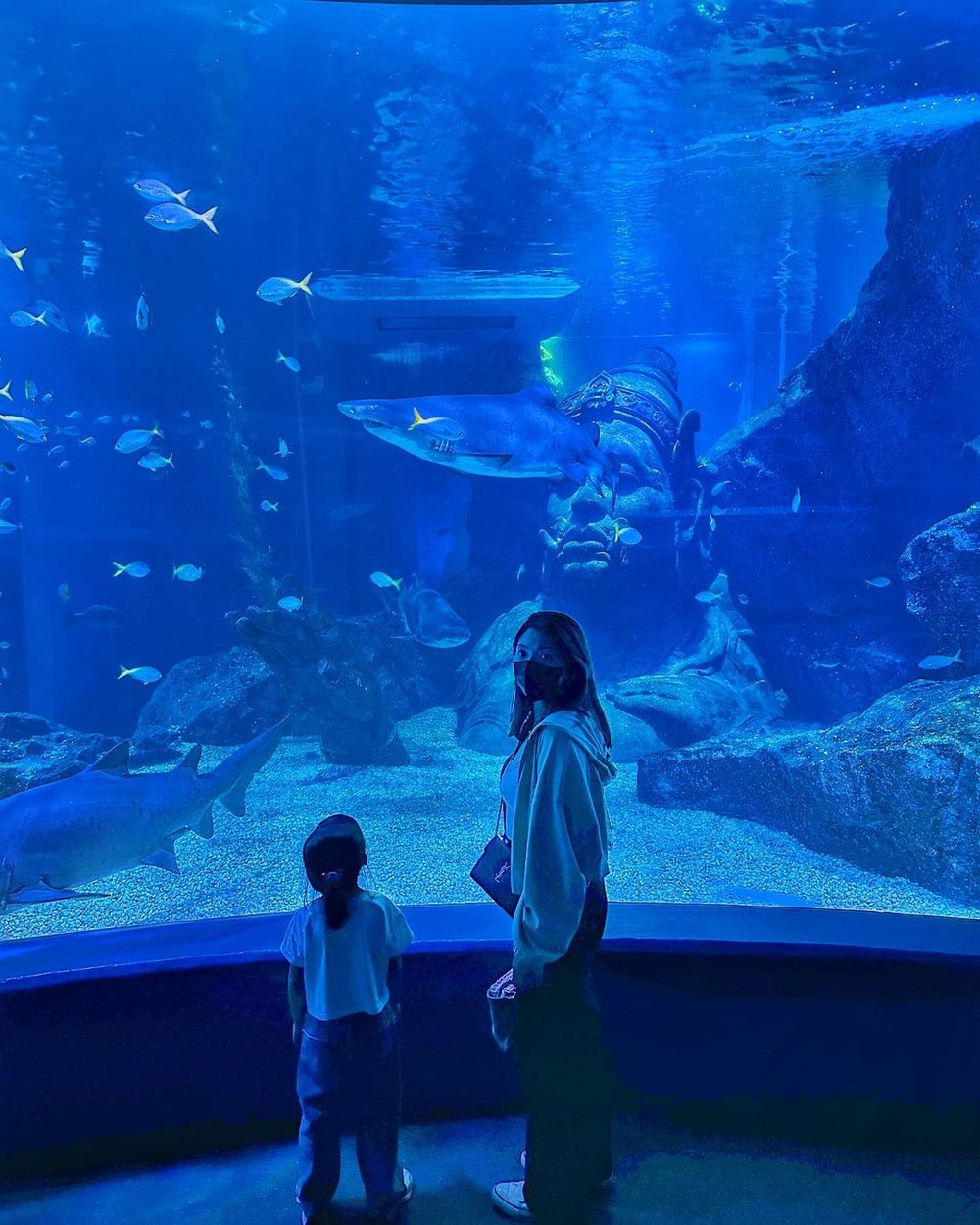 曼谷自由行|暹羅海洋世界