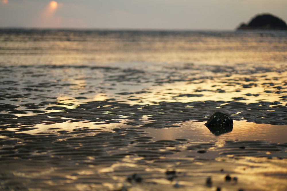 韓国の干潟(2021年)