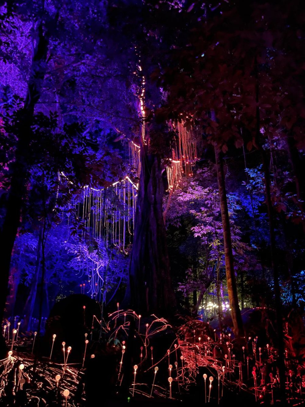 Dream Forest Langkawi