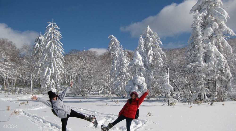 snow monster tree watching and snowshoe noboribetsu 
