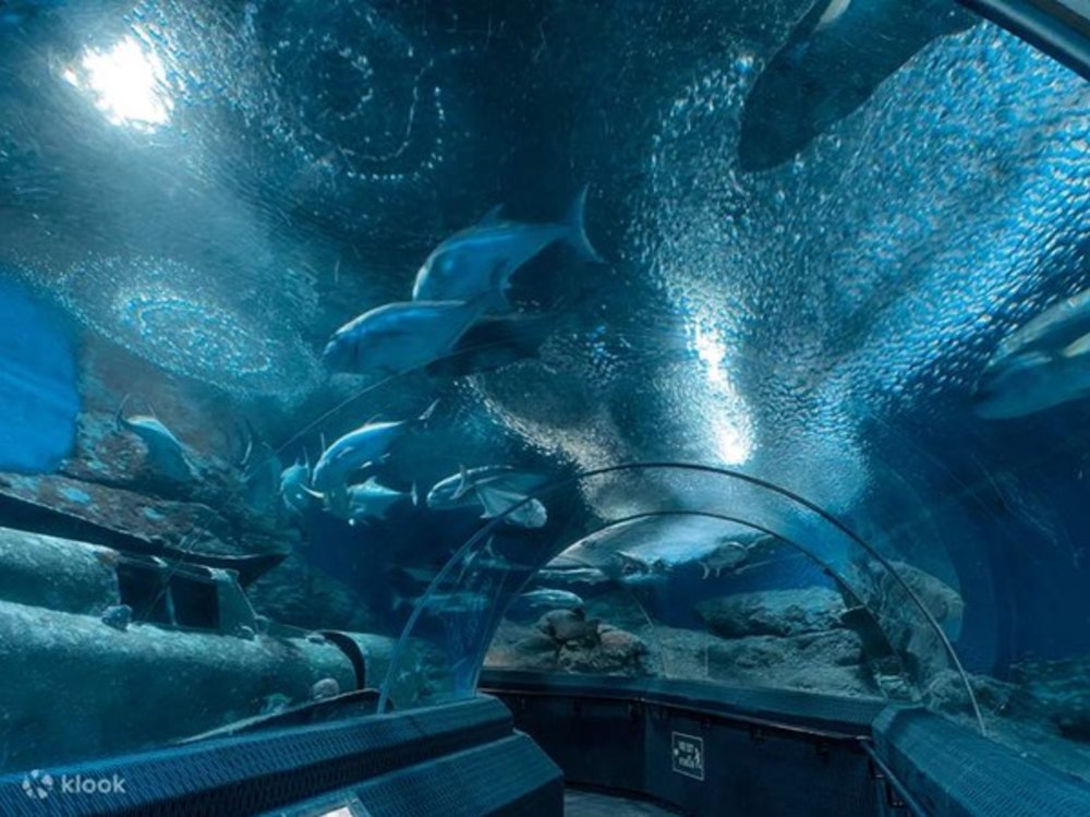 บัตรเข้าชมพิพิธภัณฑ์สัตว์น้ำอันเดอร์วอเตอร์เวิลด์พัทยา (Underwater World Pattaya)