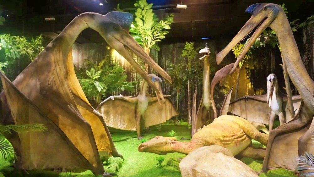 Bảo Tàng Ripley's Adventure - Cao Nguyên Genting