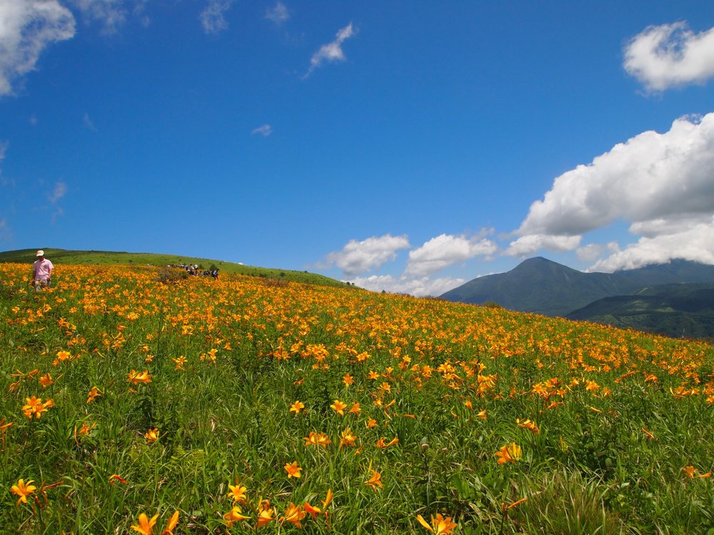 japan road trip venus line