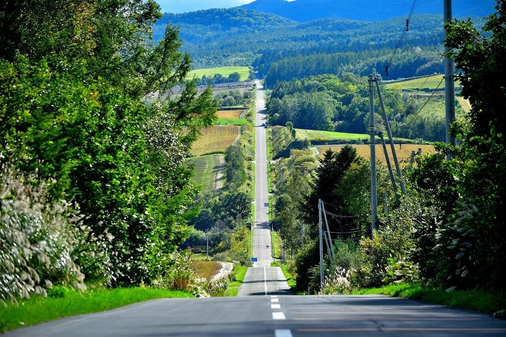 Japan Rollercoaster Road