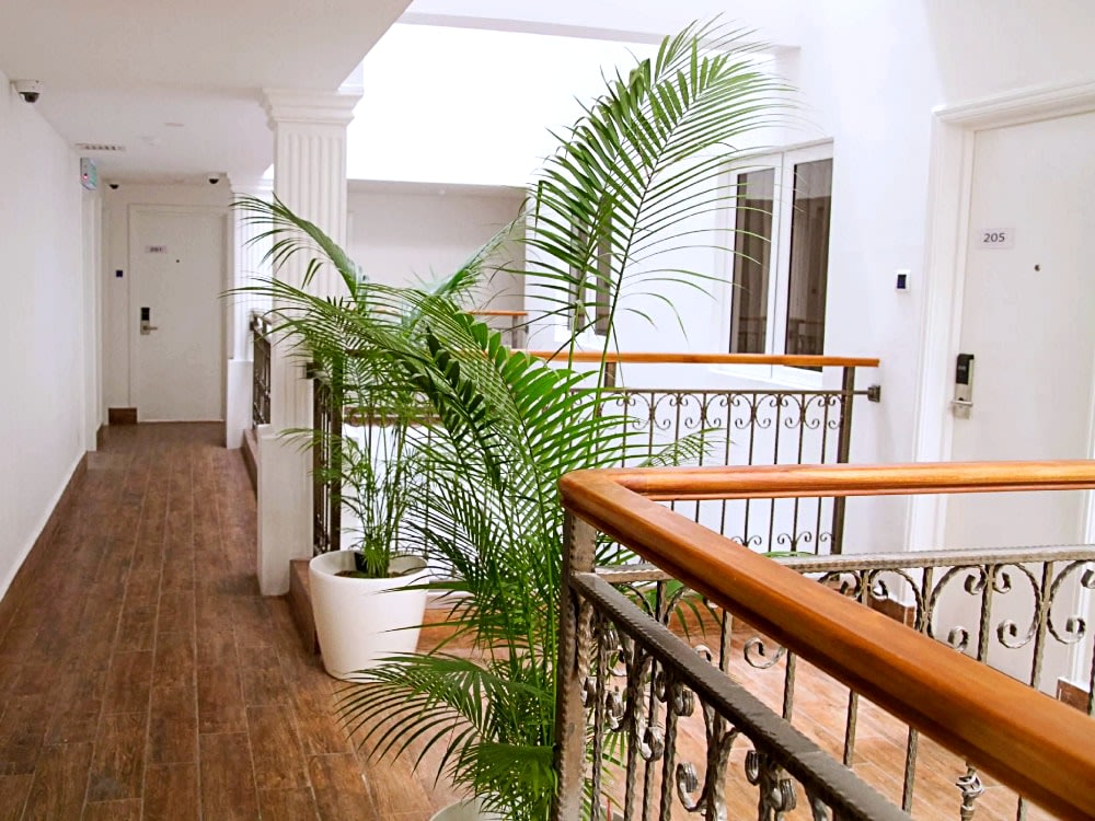 hotels in johor bahru