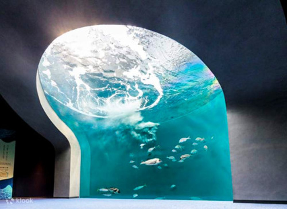 พิพิธภัณฑ์สัตว์น้ำชิโกกุ (คางาวะ)