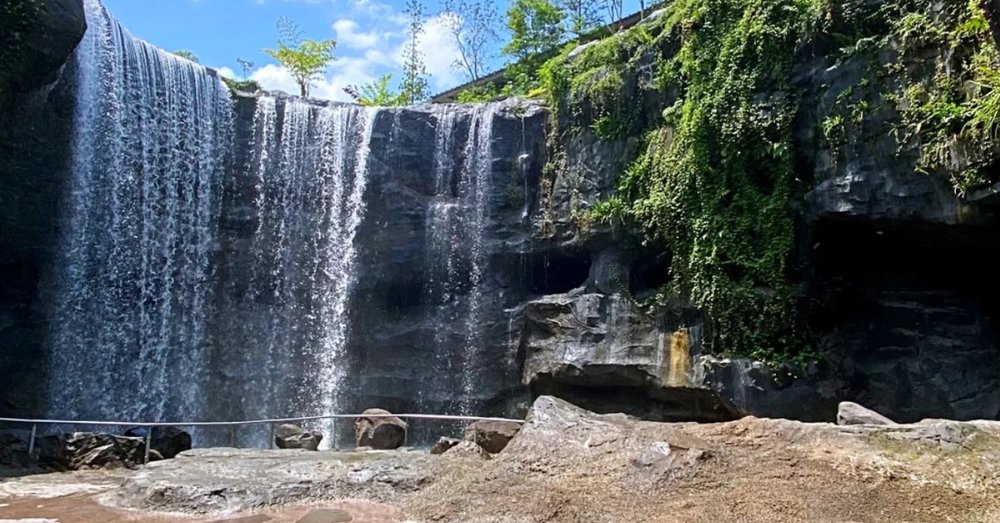 thien-duong-chim-bird-paradise