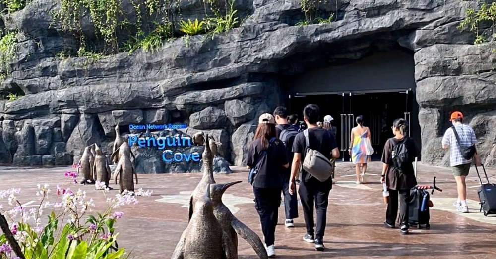 thien-duong-chim-bird-paradise