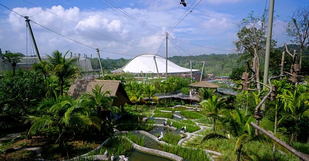 thien-duong-chim-bird-paradise