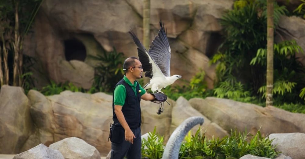 thien-duong-chim-bird-paradise
