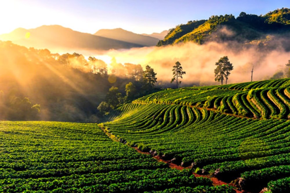 รูปภาพจาก expedia.co.th