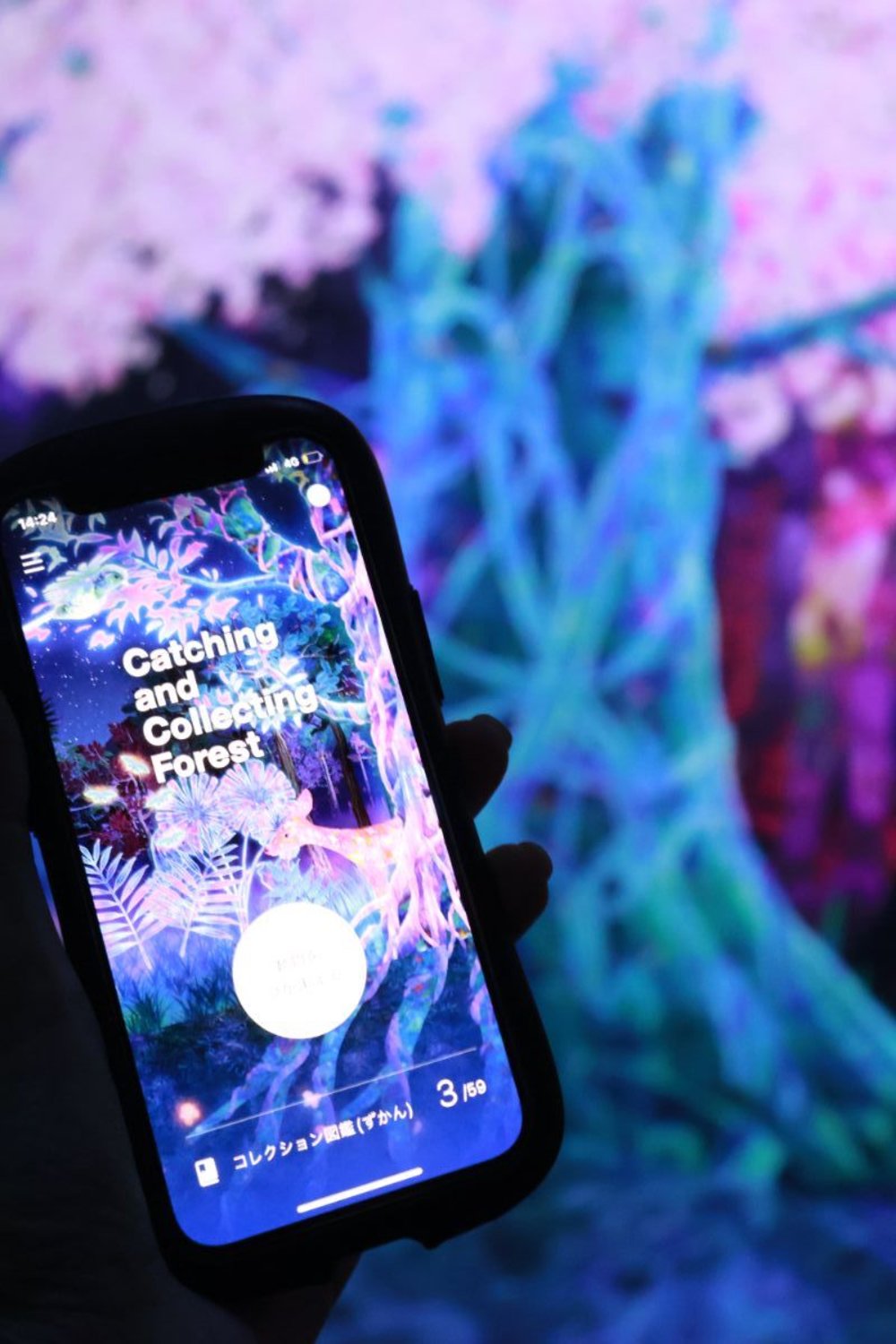 teamlab forest app