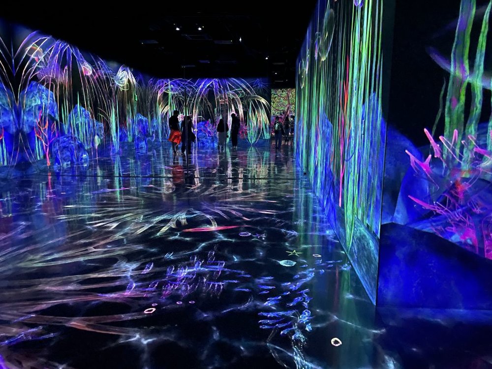 teamlab forest with visitors