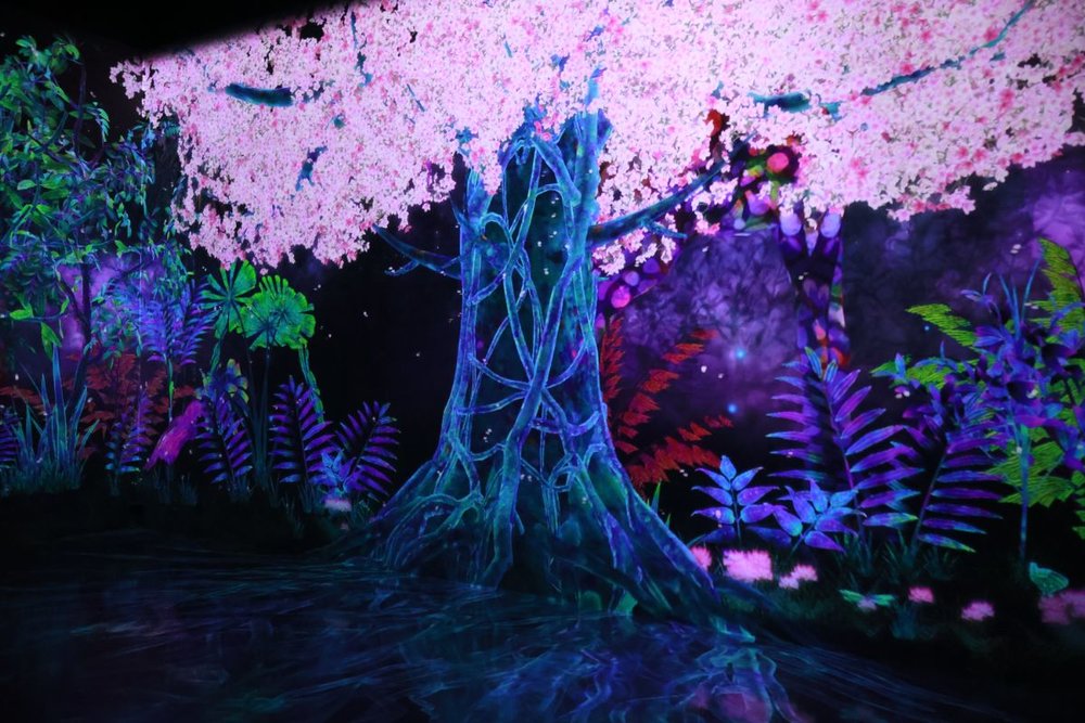 teamlab forest sakura tree