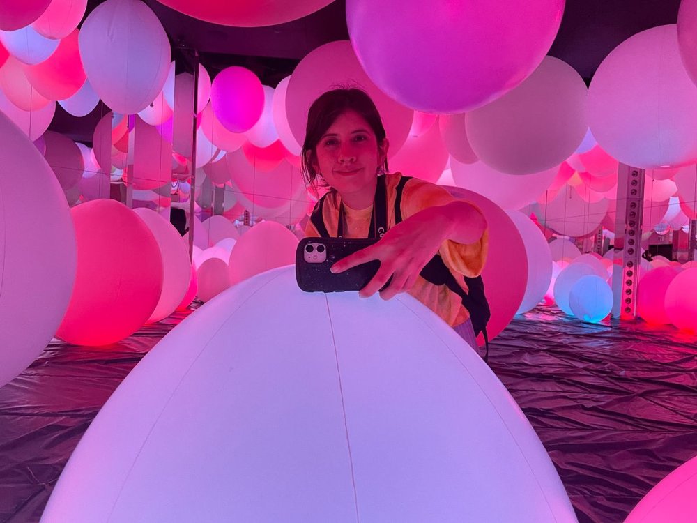 teamlab forest typhoon balls