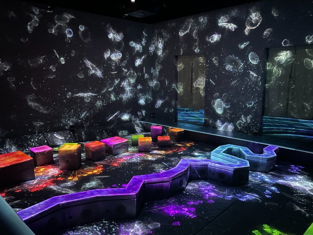 teamlab forest 運動の森