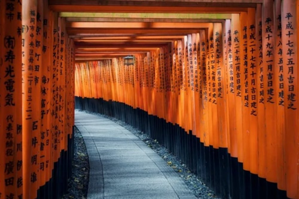 ขอบคุณรูปภาพจาก Chill Chill Japan 