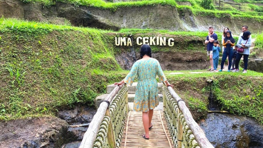 Soak in the breathtaking natural beauty of the Tegalalang Rice Terraces