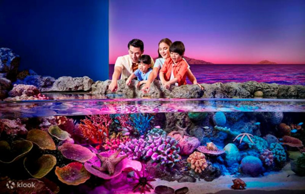 พิพิธภัณฑ์สัตว์น้ำซีไลฟ์ แบงคอก โอเชี่ยน เวิลด์