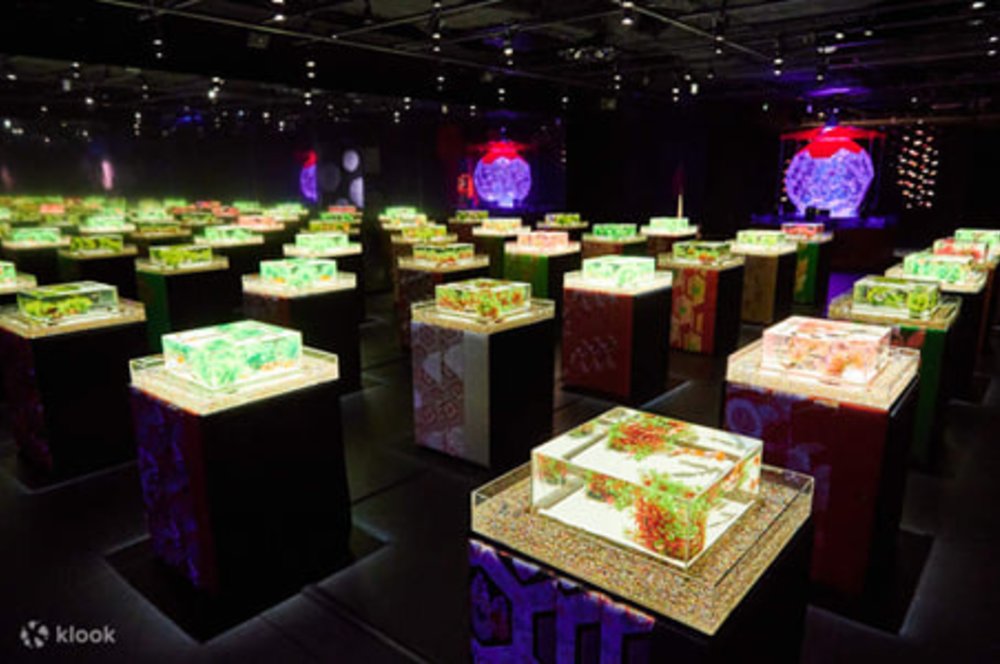 พิพิธภัณฑ์ศิลปะสัตว์น้ำ (Art Aquarium Museum) ในกินซ่า