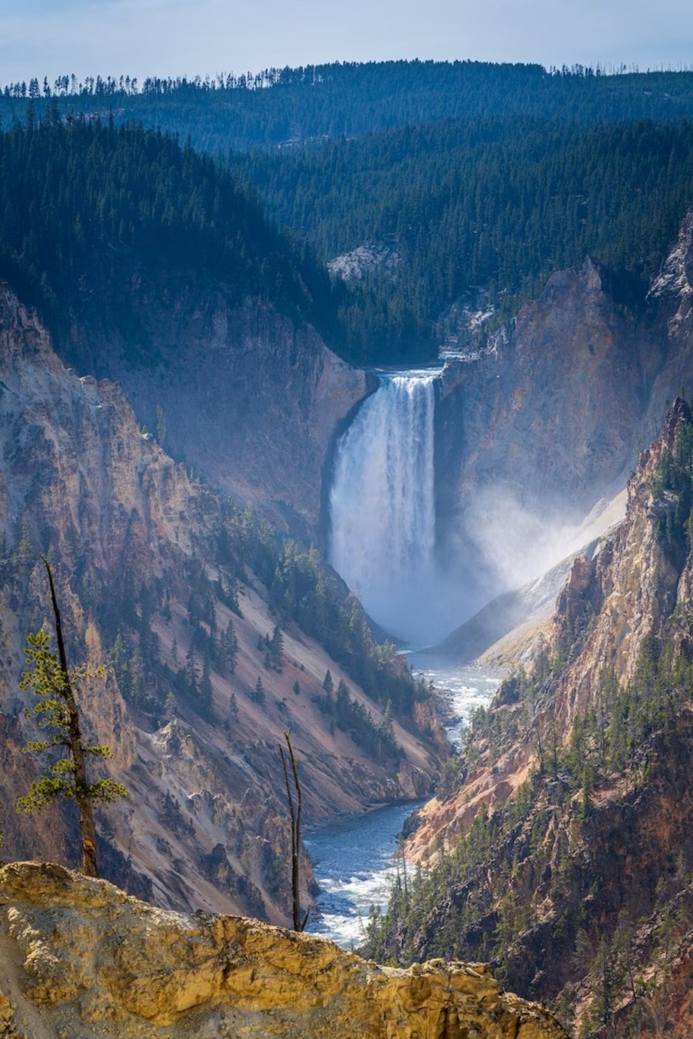 yellowstone national park