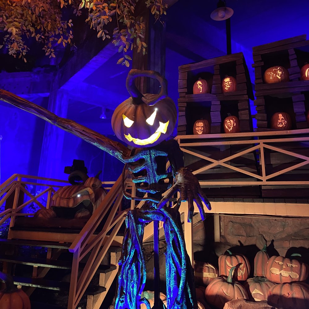 All you need to know about Sunway Lagoon NoF 10