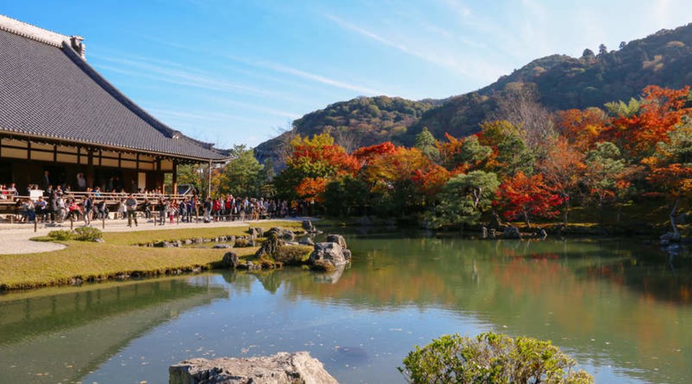 京都楓葉、紅葉前線情報